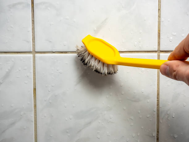 Best Commercial Mold Remediation in Bowling Green, FL