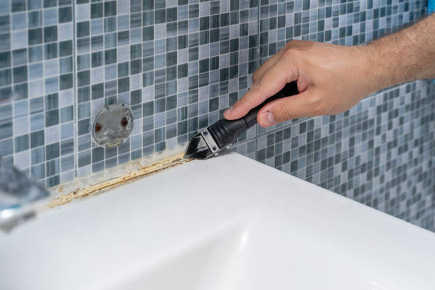Best Mold Remediation for Schools in Bowling Green, FL