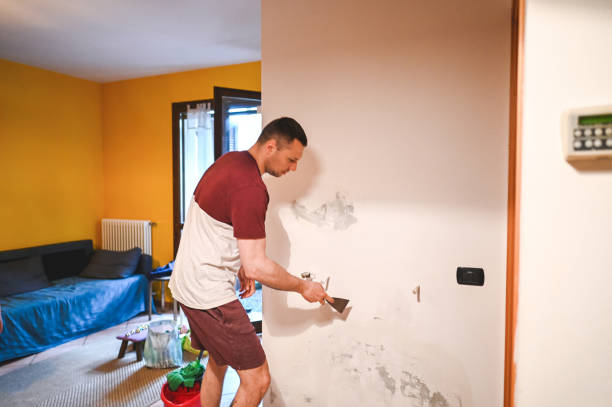 Best Emergency Mold Remediation in Bowling Green, FL